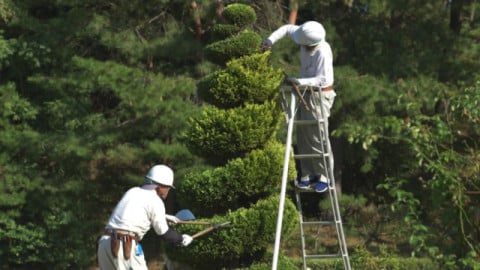 何事もコツコツと真面目に取り組める方